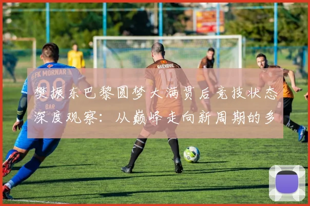 樊振东巴黎圆梦大满贯后竞技状态深度观察：从巅峰走向新周期的多重考验