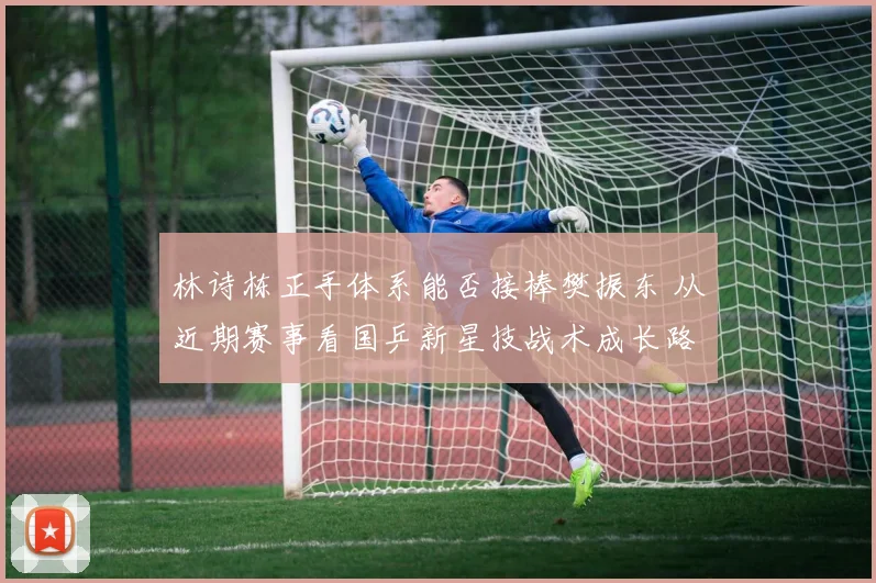 林诗栋正手体系能否接棒樊振东 从近期赛事看国乒新星技战术成长路径