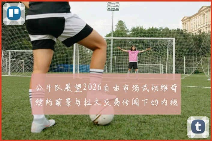 公牛队展望2026自由市场武切维奇续约前景与拉文交易传闻下的内线轮换分析