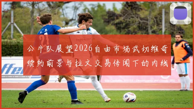 公牛队展望2026自由市场武切维奇续约前景与拉文交易传闻下的内线轮换分析