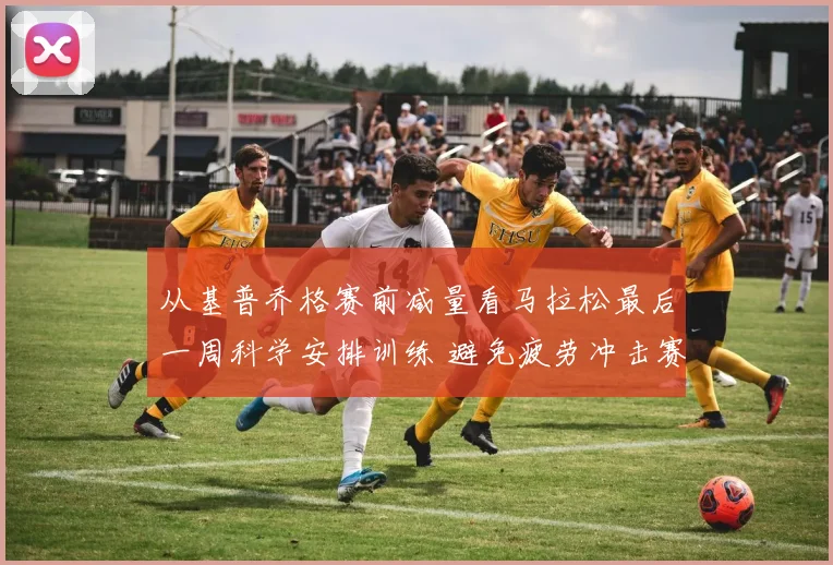 从基普乔格赛前减量看马拉松最后一周科学安排训练 避免疲劳冲击赛道佳绩