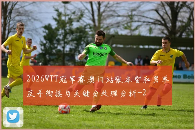 2026WTT冠军赛澳门站张本智和男单反手衔接与关键分处理分析